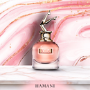 Scandal Jean Paul Gaultier - Perfume Feminino Eau de Parfum - 100ml